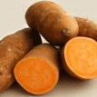 FG urges farmers to adopt orange-fleshed sweet potato