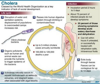 Cholera: 5 simple prevention tips - Vanguard News