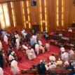 SWIP: PANDEF meets Senate, Reps C’mittees on Niger Delta