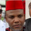 Nnamdi Kanu’s sureties never applied to withdraw their suretyship – Lawyer