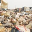 Living inside the dumpsite of death!