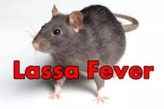 Rage of Lassa fever