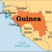 Guinea communal violence killed more than 20 — Lawmaker