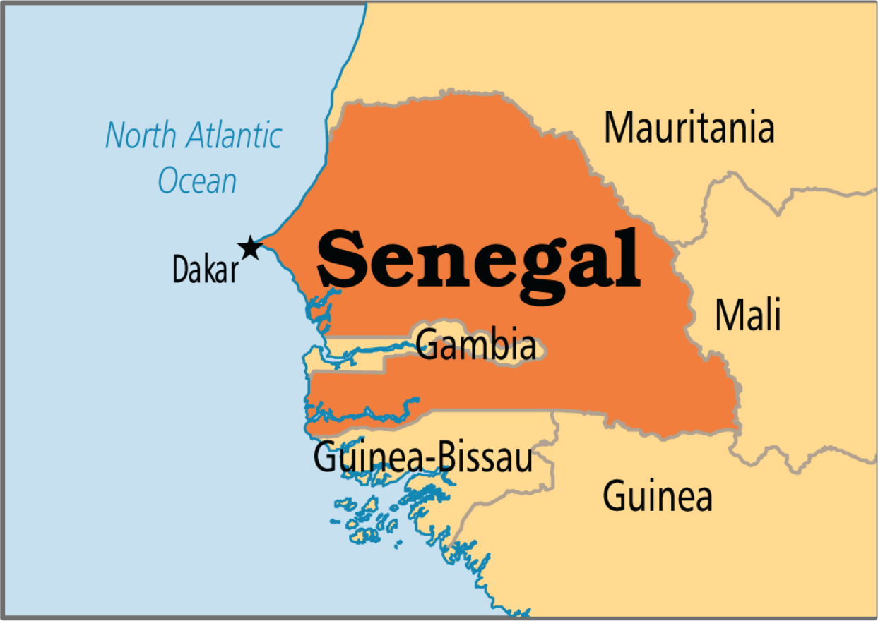 Wood market in Senegal #39 s capital burnt to the ground Vanguard News